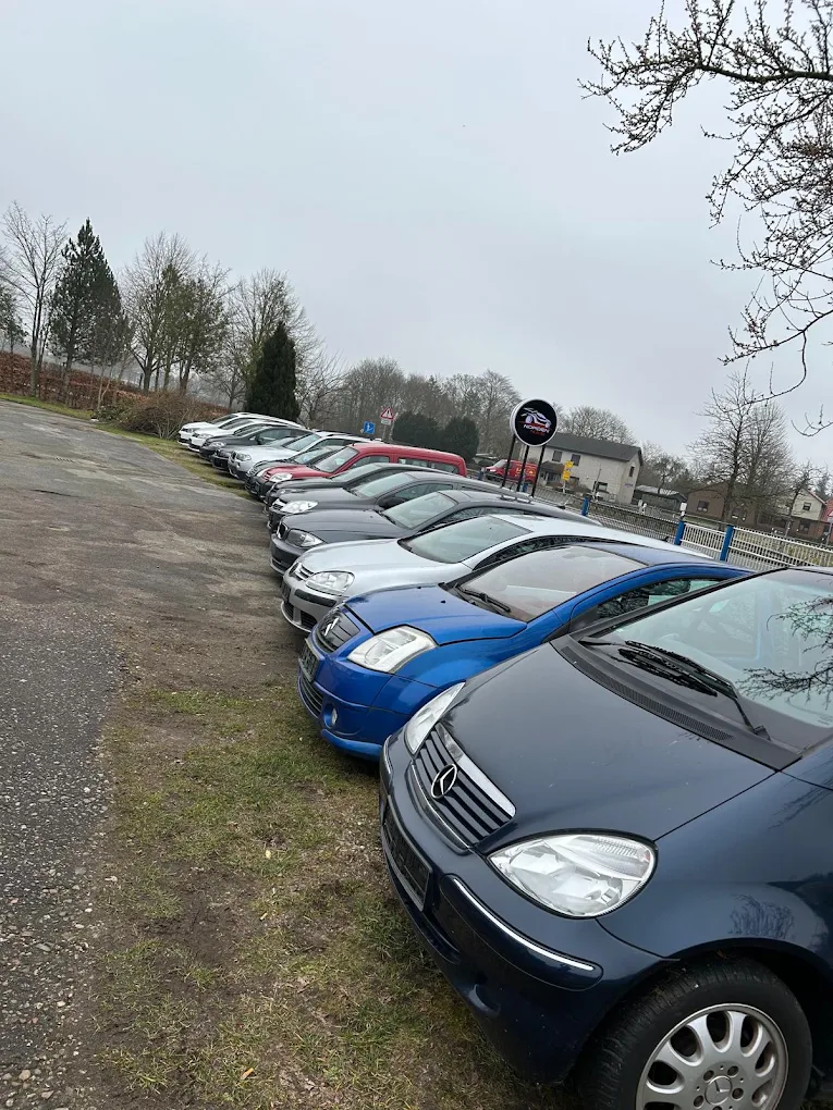 Auswahl an Gebrauchtwagen bei Norden Auto & Service
